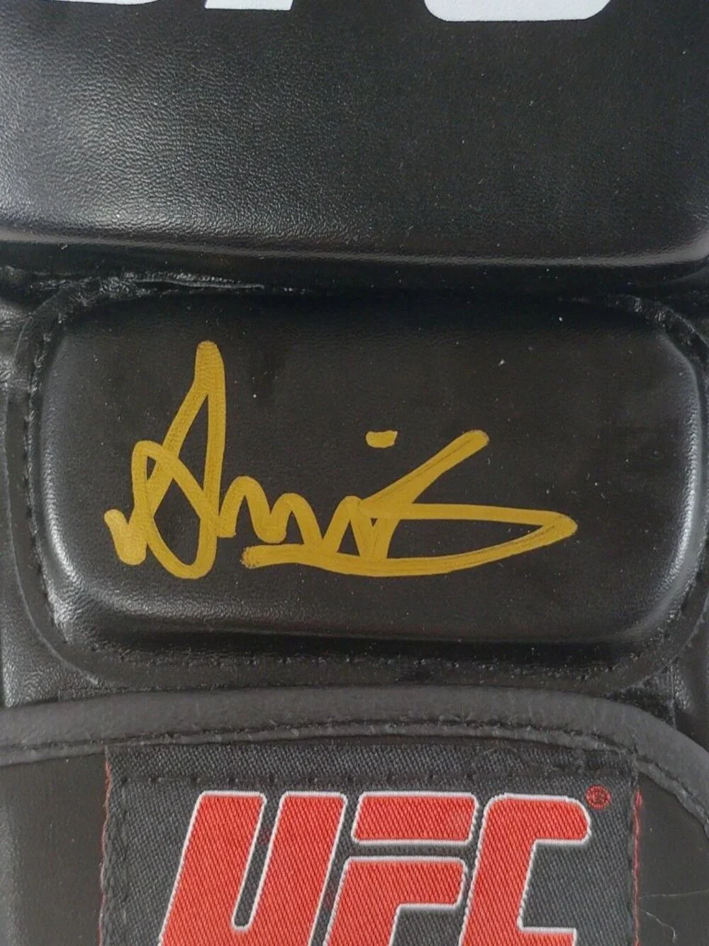 UFC amir albazi
